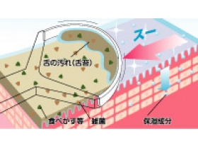 潤いベロのクリーナー