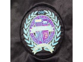 The Hundreds(ｻﾞ、ハンドレッド）【Ｌ，ＸＬ】FATER COACH JACKET