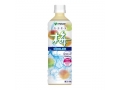 伊藤園 梅クーラー500ml×48本